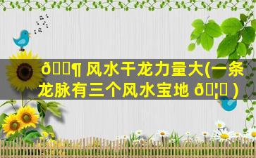 🐶 风水干龙力量大(一条龙脉有三个风水宝地 🦈 )